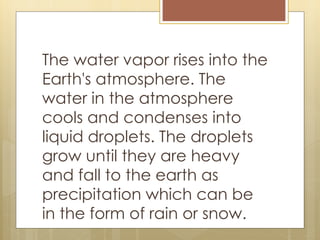 The water vapor rises into the
Earth's atmosphere. The
water in the atmosphere
cools and condenses into
liquid droplets. The droplets
grow until they are heavy
and fall to the earth as
precipitation which can be
in the form of rain or snow.
 