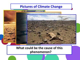 Pictures of Climate Change
What could be the cause of this
phenomenon?
 