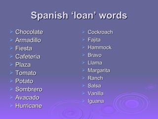 Spanish ‘loan’ words Chocolate  Armadillo Fiesta Cafeteria Plaza  Tomato Potato  Sombrero  Avacado  Hurricane  Cockroach Fajita Hammock  Bravo Llama  Margarita  Ranch Salsa Vanilla  Iguana  