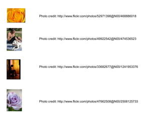 Photo credit: http://www.flickr.com/photos/52971398@N00/468886018Photo credit: http://www.flickr.com/photos/49922542@N00/474536523Photo credit: http://www.flickr.com/photos/33682677@N00/1241953376 Photo credit: http://www.flickr.com/photos/47662508@N00/2508125733