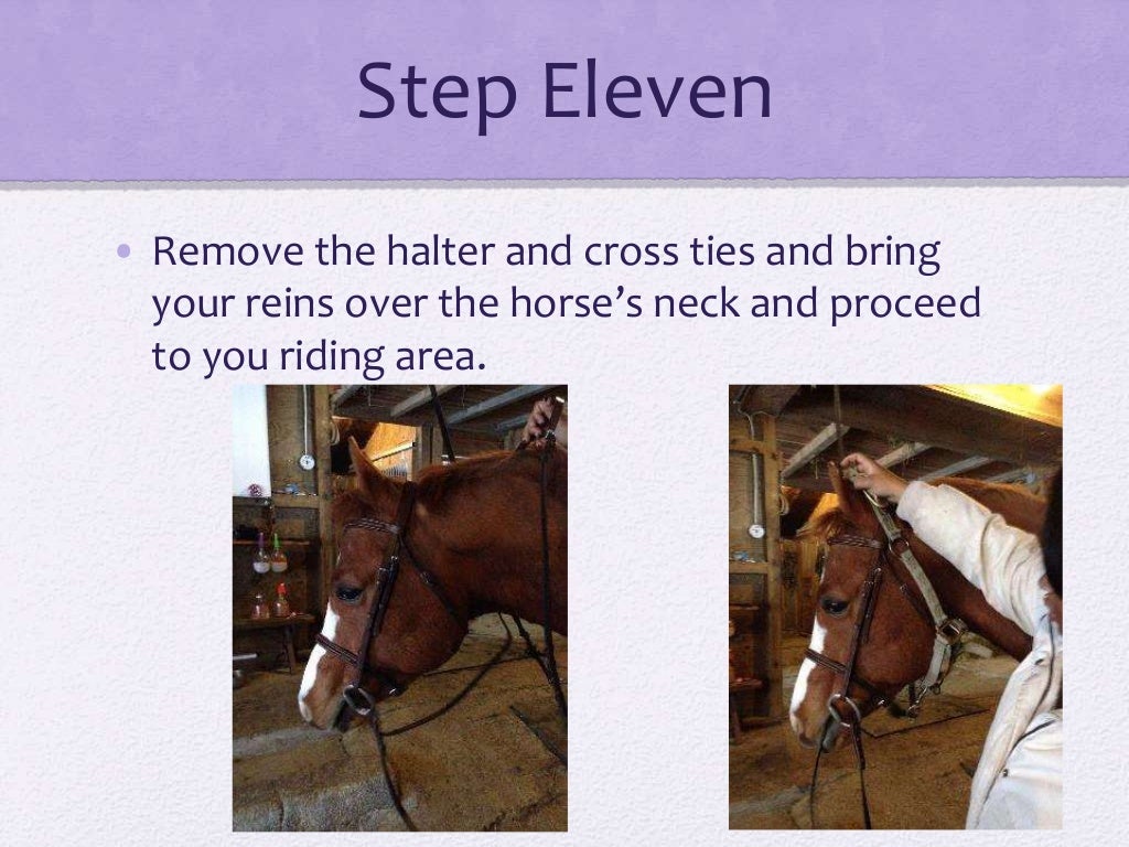 How To Put An English Bridle On A Horse