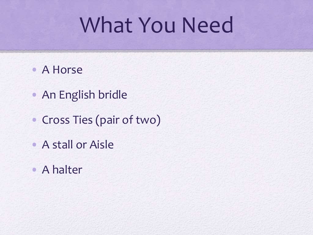 How To Put An English Bridle On A Horse
