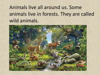 Animals live all around us. Some
animals live in forests. They are called
wild animals.
 