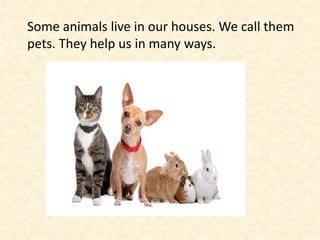 Some animals live in our houses. We call them
pets. They help us in many ways.
 