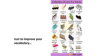 Just to improve your
vocabulary...
 