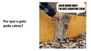 Por que o gato
pede calma?
 