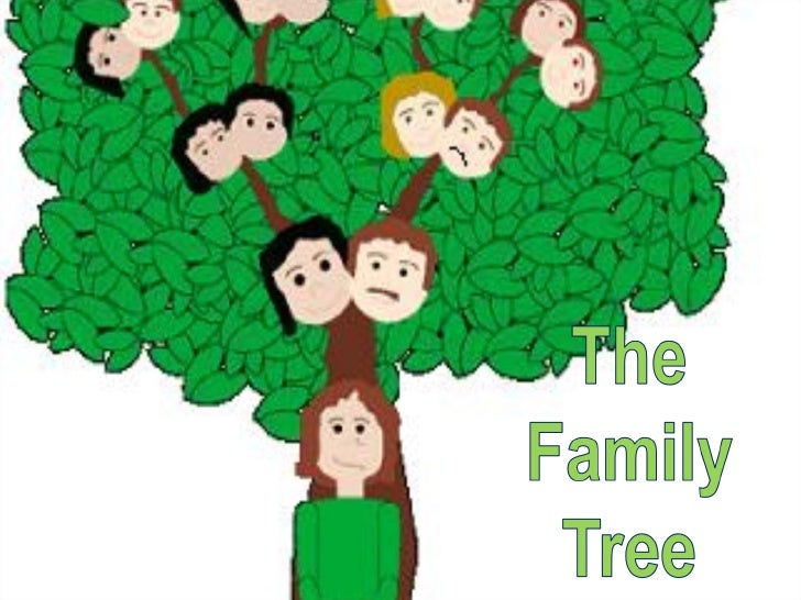 Нарисовать семейное дерево по английскому 3 класс