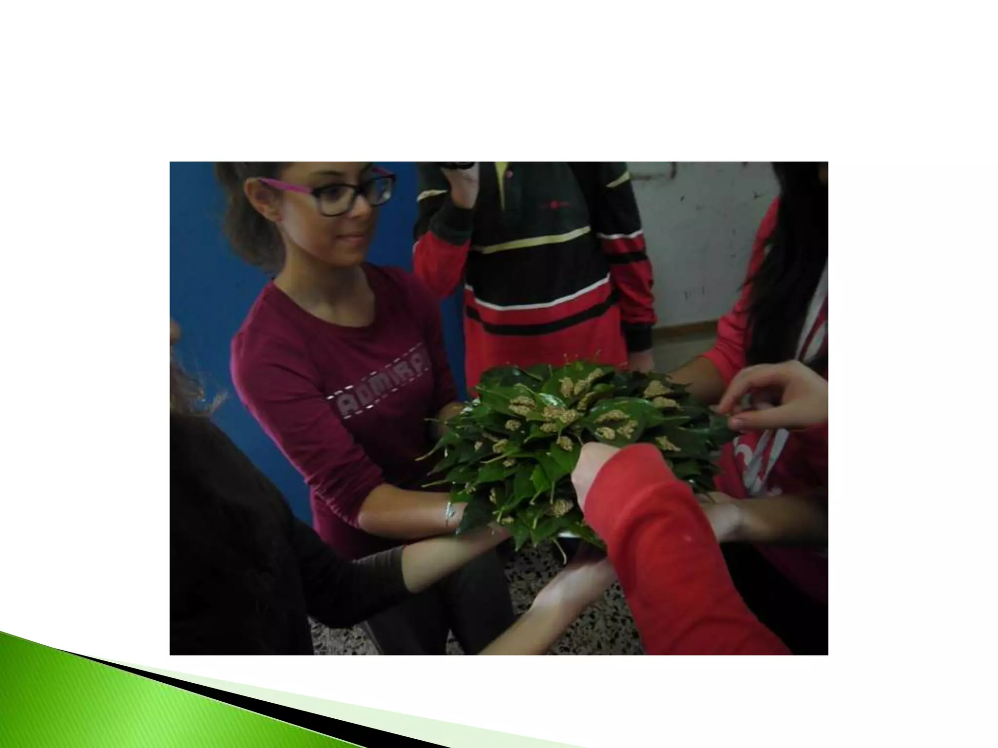 Comenius Schools: Cooking in Athens (part1)