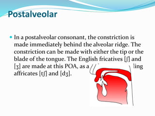 English consonants and classification | PPTX