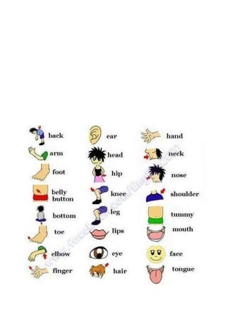 English Corner For Classroom Pdf