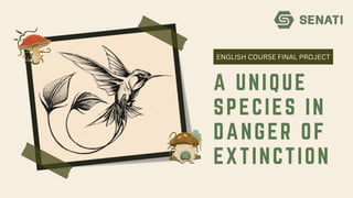 A UNIQUE
SPECIES IN
DANGER OF
EXTINCTION
ENGLISH COURSE FINAL PROJECT
 