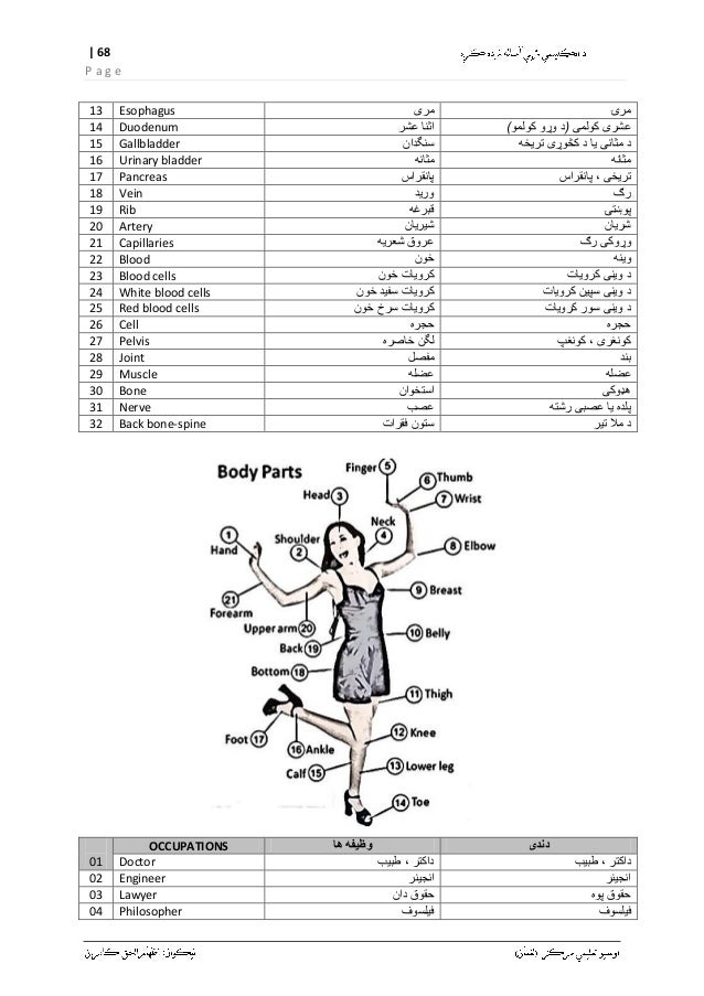 english grammar in pashto pdf english grammar in pashto pdf