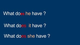 What do he have ?
es
What does she have ?
What does it have ?
 