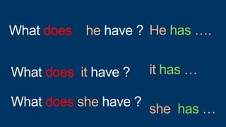 What does he have ?
What does she have ?
What does it have ?
He has ….
it has …
she has …
 
