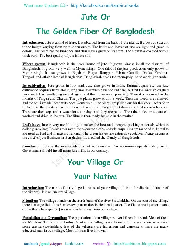 Best english essay