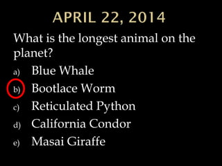 What is the longest animal on the
planet?
a) Blue Whale
b) Bootlace Worm
c) Reticulated Python
d) California Condor
e) Masai Giraffe
 