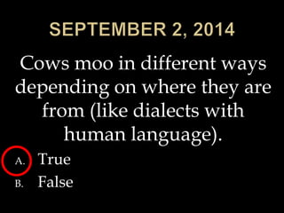 Cows moo in different ways 
depending on where they are 
from (like dialects with 
human language). 
A. True 
B. False 
 