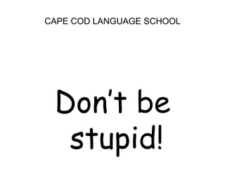 CAPE COD LANGUAGE SCHOOLDon’t be stupid!