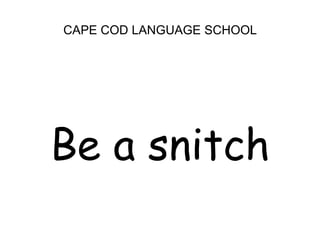 CAPE COD LANGUAGE SCHOOLBe a snitch