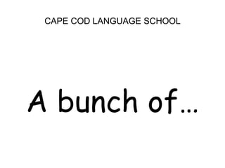 CAPE COD LANGUAGE SCHOOLA bunch of…