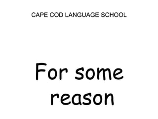 CAPE COD LANGUAGE SCHOOLFor some reason