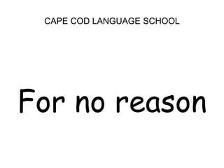 CAPE COD LANGUAGE SCHOOLFor no reason