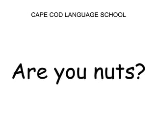CAPE COD LANGUAGE SCHOOLAre you nuts?