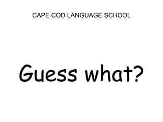 CAPE COD LANGUAGE SCHOOLGuess what?