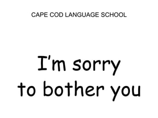CAPE COD LANGUAGE SCHOOLI’m sorry to bother you