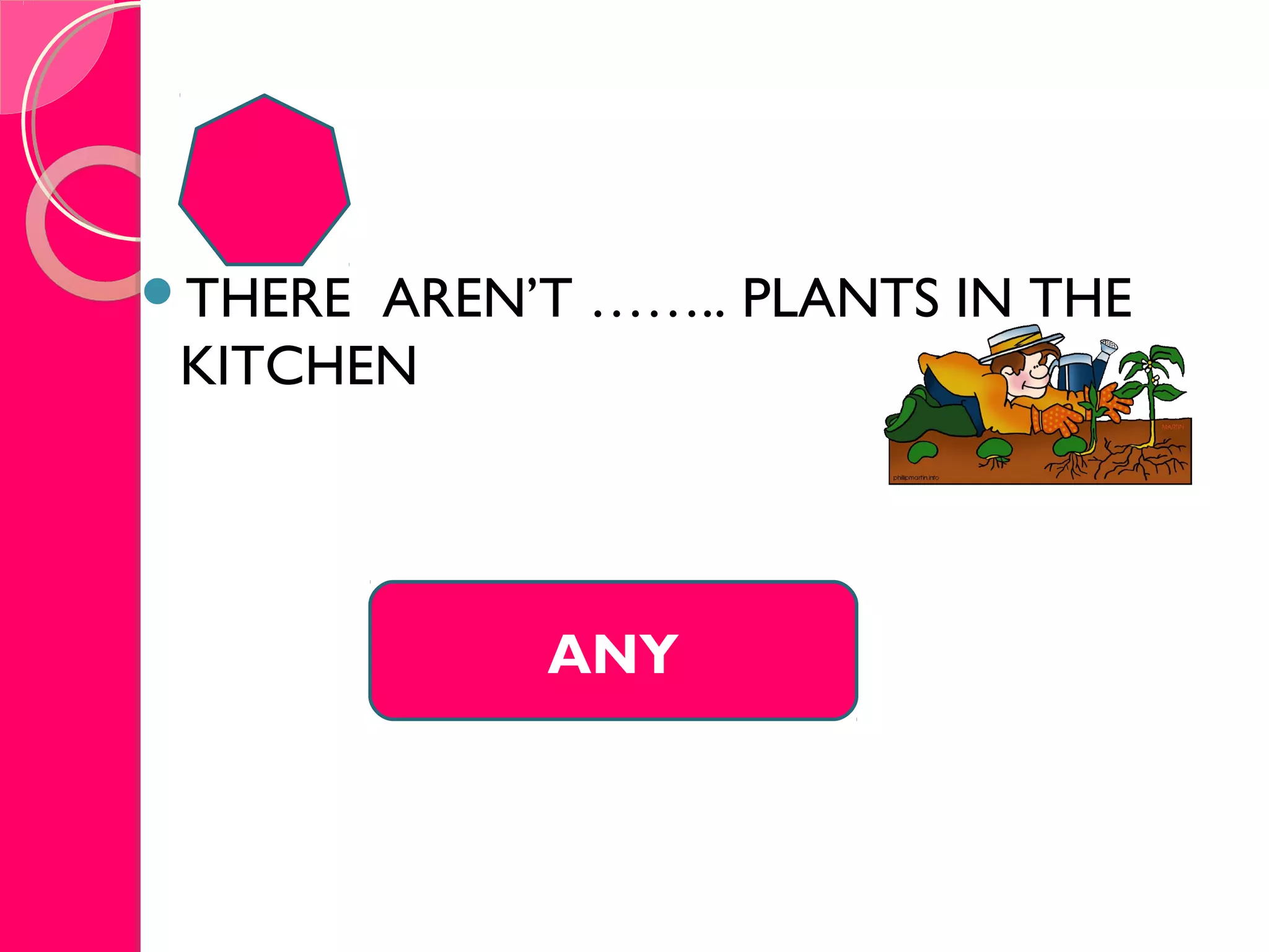 THERE AREN’T …….. PLANTS IN THE
KITCHEN
ANY
 