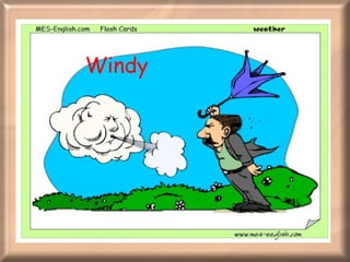 Windy 