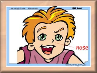 nose 