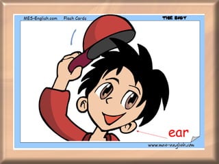 ear 