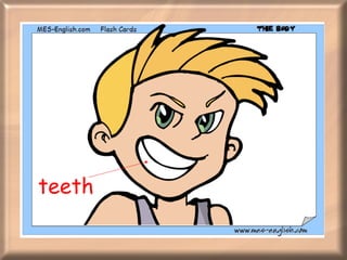 teeth 