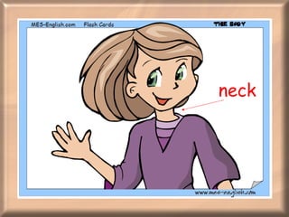 neck 