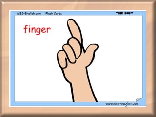 finger 