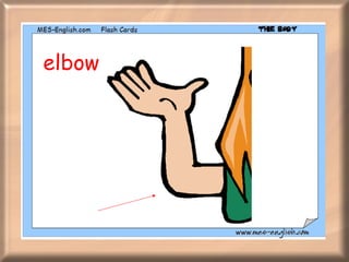 elbow 