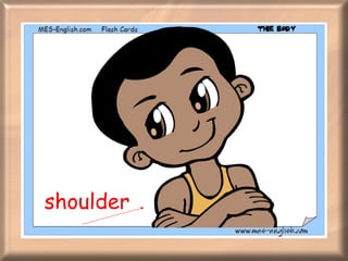 shoulder 