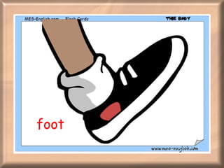 foot 