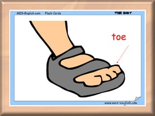 toe 