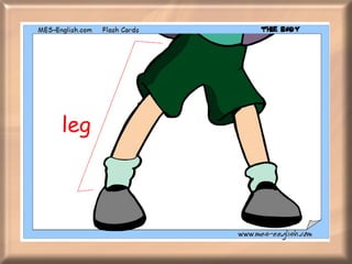 leg 