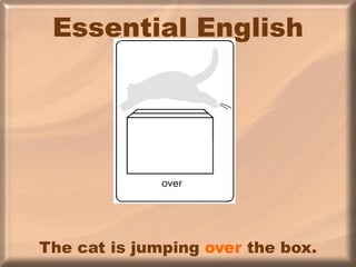 Essential English The cat is jumping  over  the box. 
