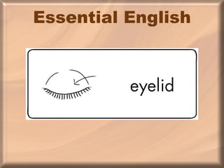 Essential English 