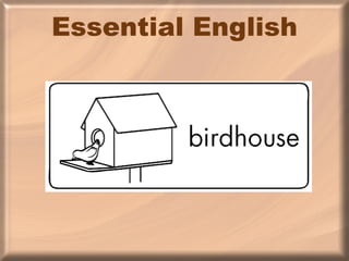 Essential English 