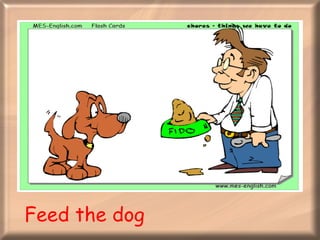 Feed the dog 