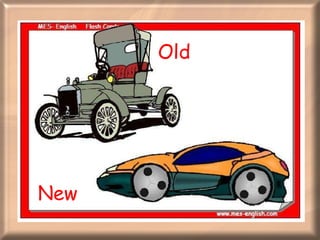 Old  New  