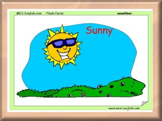 Sunny  
