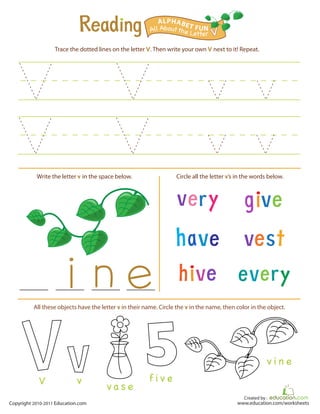 Created by :
www.education.com/worksheetsCopyright 2010-2011 Education.com
Trace the dotted lines on the letter V. Then write your own V next to it! Repeat.
Write the letter v in the space below. Circle all the letter v’s in the words below.
All Aboutthe Letter V
ALPHABET FUN
f i v e
v a s e
vV
v i n e
All these objects have the letter v in their name. Circle the v in the name, then color in the object.
 