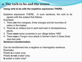 English for university student | PPT