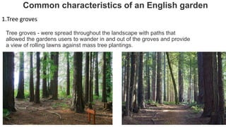 Common characteristics of an English garden
1.Tree groves
Tree groves - were spread throughout the landscape with paths that
allowed the gardens users to wander in and out of the groves and provide
a view of rolling lawns against mass tree plantings.
 